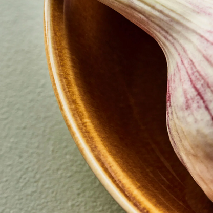 Glazed Caramel Bowl - Design Vintage