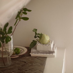 Mocha Stripe Napkins