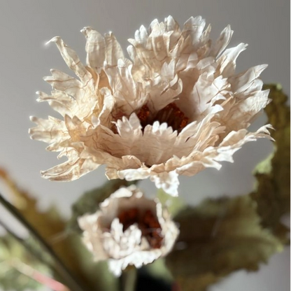 Vintage Nude Poppy