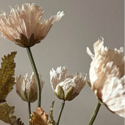Vintage Nude Poppy