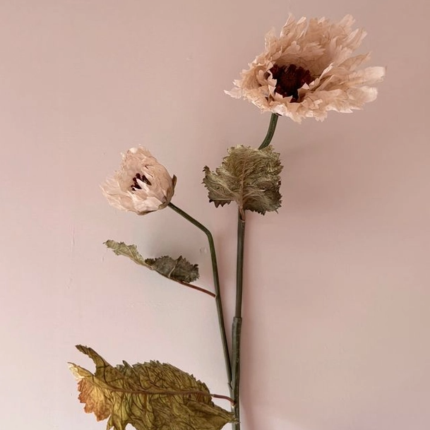 Vintage Nude Poppy