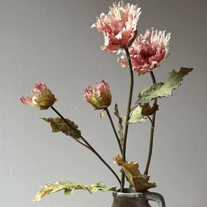 Vintage Blush Poppy