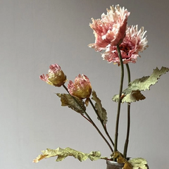 Vintage Blush Poppy