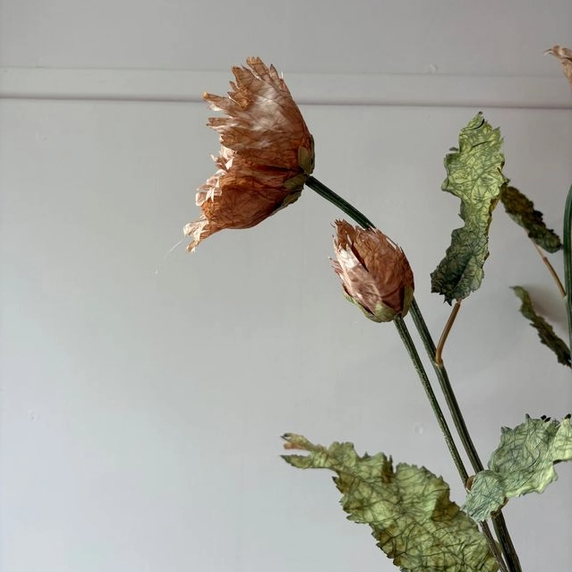 Vintage Rust Poppy