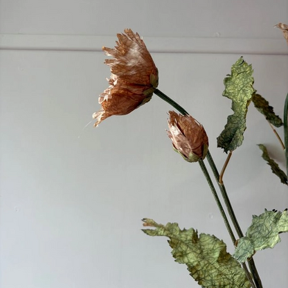 Vintage Rust Poppy
