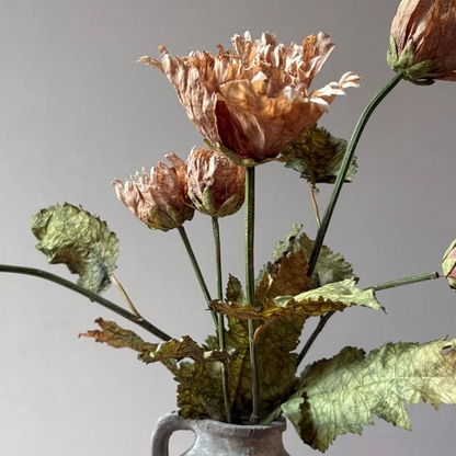 Vintage Rust Poppy