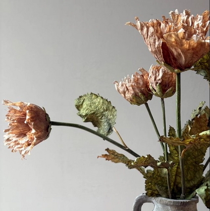 Vintage Rust Poppy