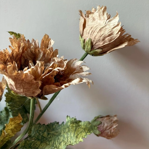 Vintage Rust Poppy