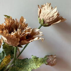Vintage Rust Poppy
