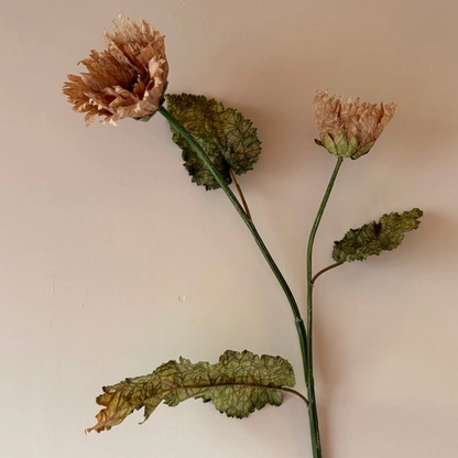 Vintage Rust Poppy