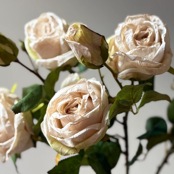 Vintage Rose Spray