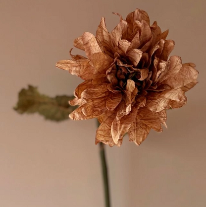 Rust Dahlia Stem
