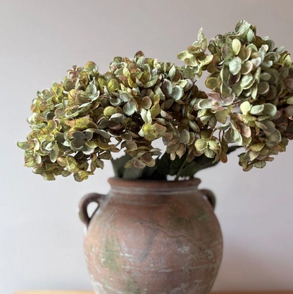 Sage Green Hydrangea