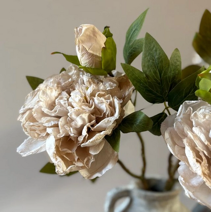Blooming Peony Stem