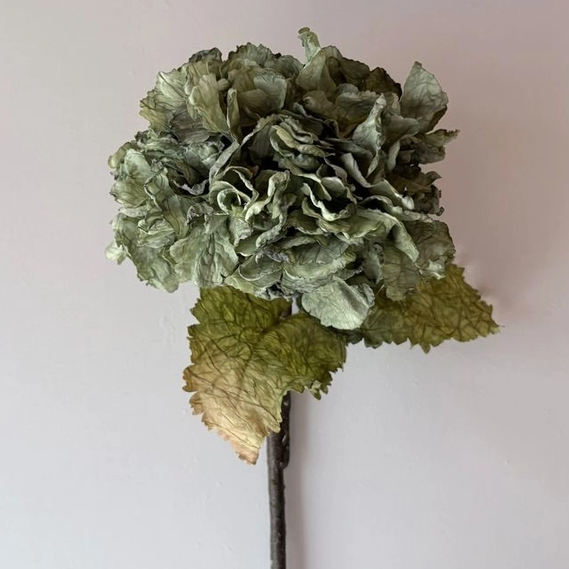 Vintage Green Hydrangea