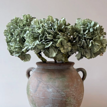 Vintage Green Hydrangea
