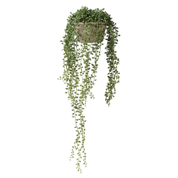 Faux String of Pearls Plant - Design Vintage