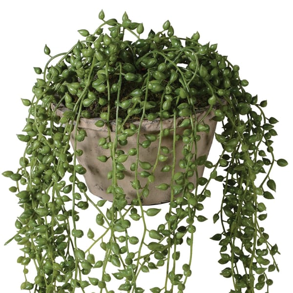 Faux String of Pearls Plant - Design Vintage