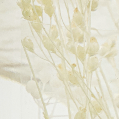 Meraki Shades Diffuser