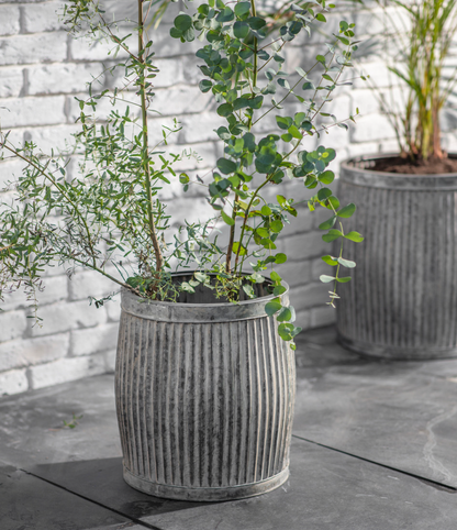 Ribbed Steel Planters - Design Vintage