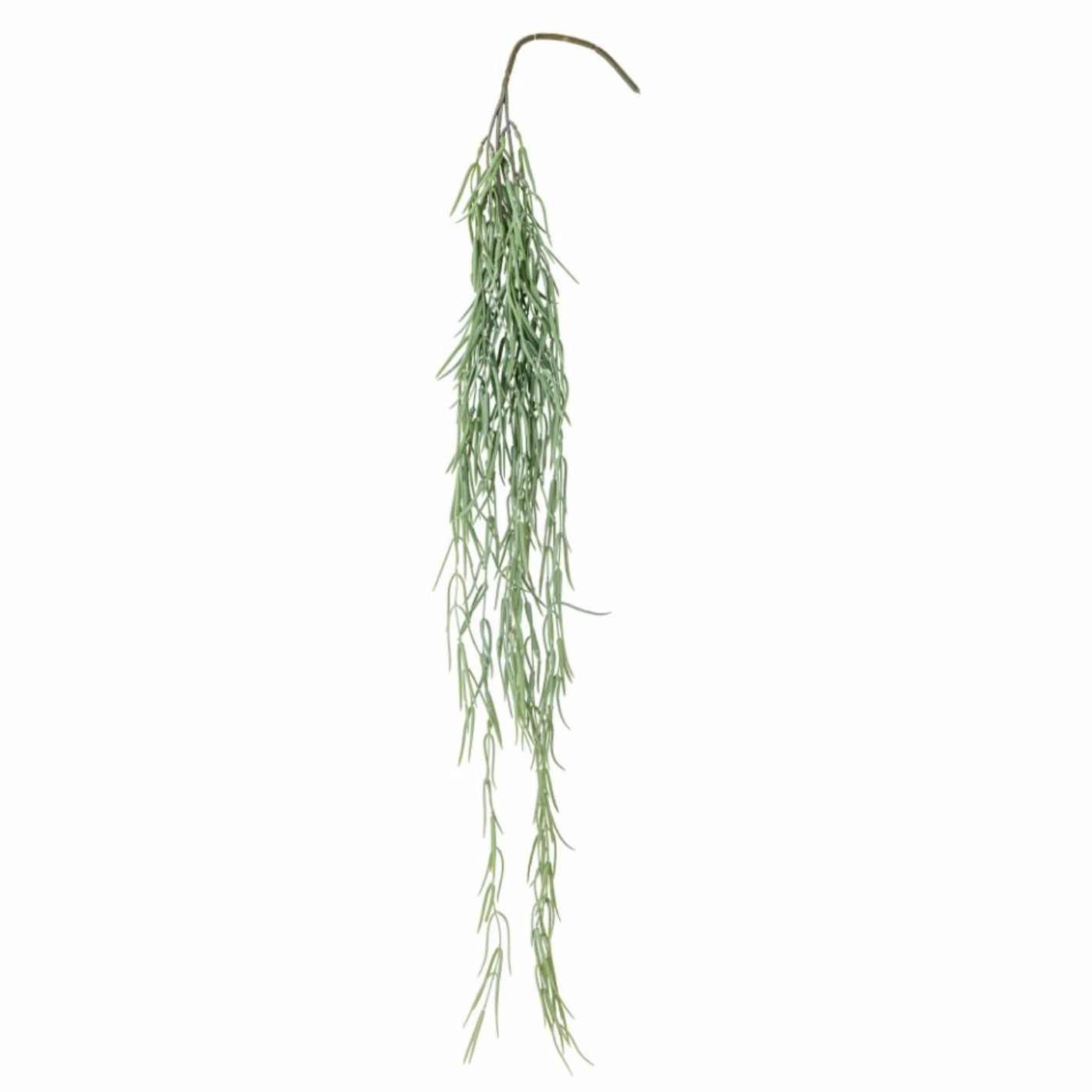 Trailing Tillandsia Stems - Design Vintage