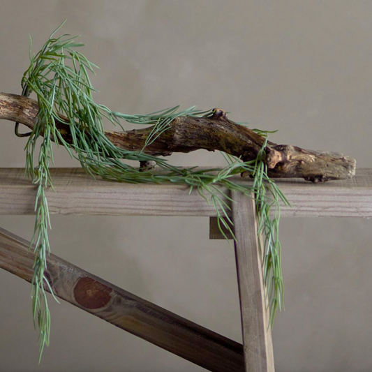 Trailing Tillandsia Stems - Design Vintage