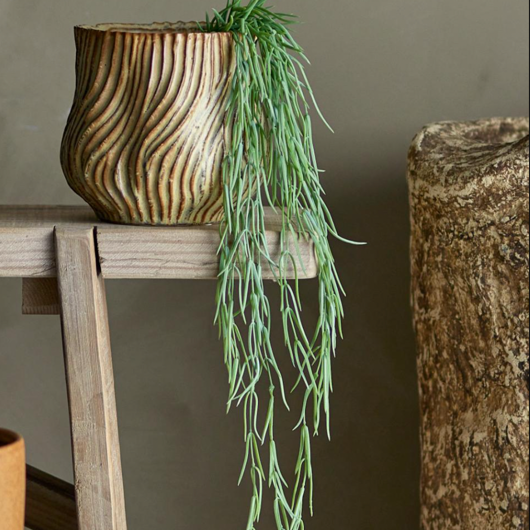 Trailing Tillandsia Stems - Design Vintage
