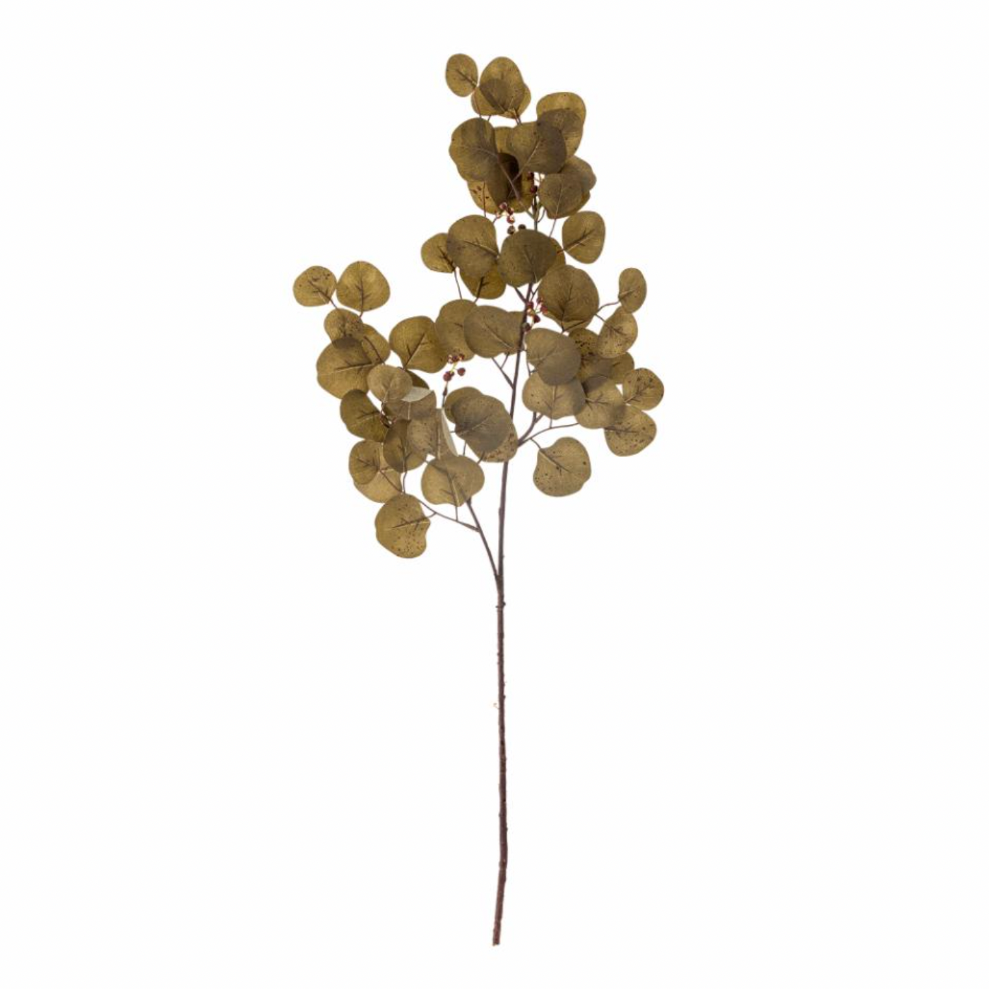 Brown Eucalyptus Stem - Design Vintage