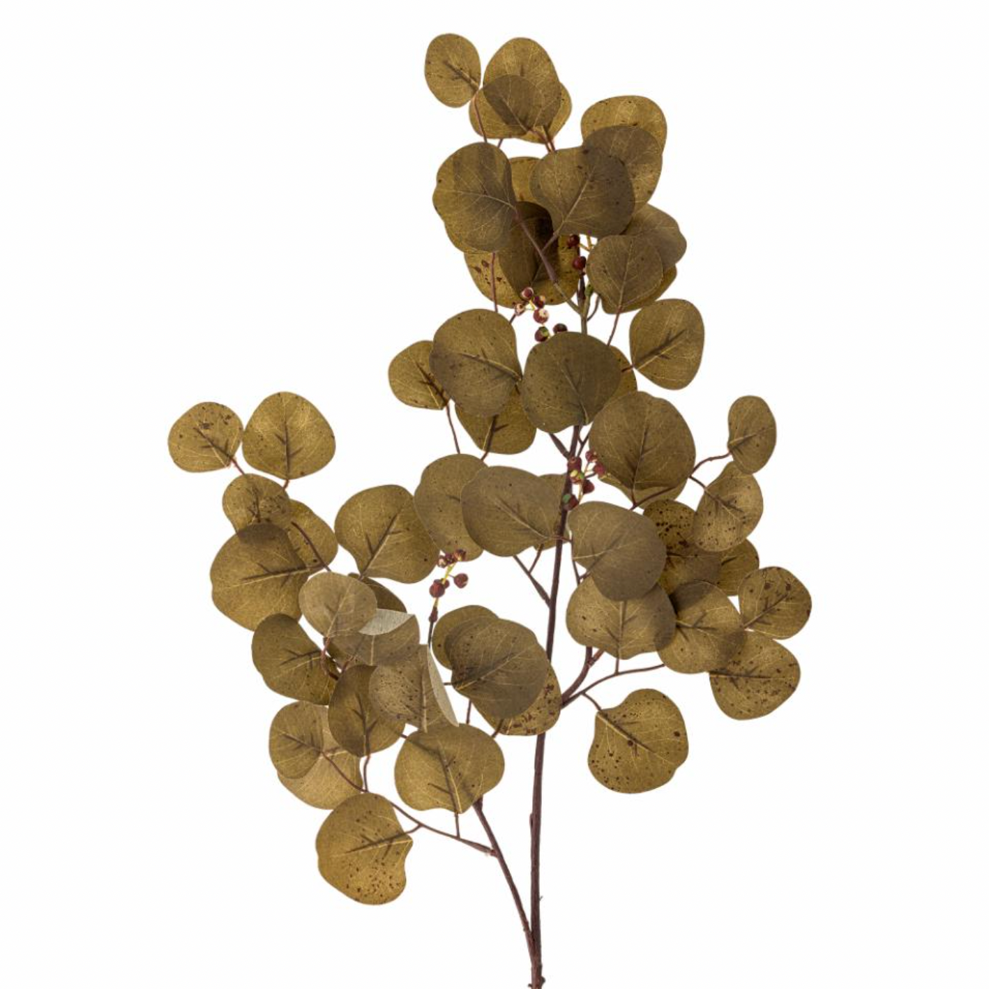 Brown Eucalyptus Stem - Design Vintage