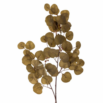 Brown Eucalyptus Stem - Design Vintage
