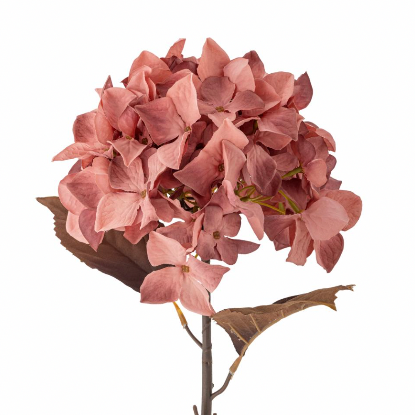 Rose Hydrangea Stem - Design Vintage