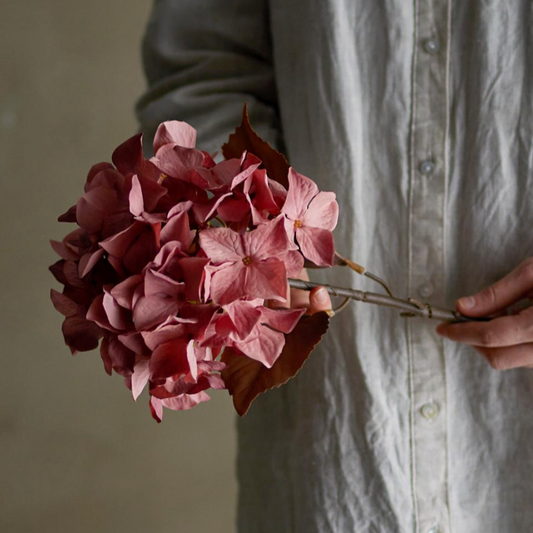 Rose Hydrangea Stem - Design Vintage