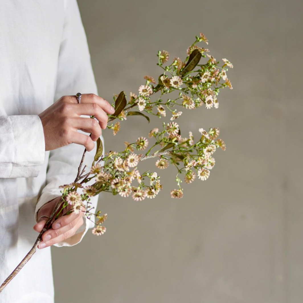 Waxflower Stem - Design Vintage