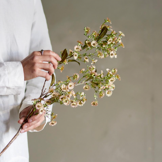 Waxflower Stem - Design Vintage