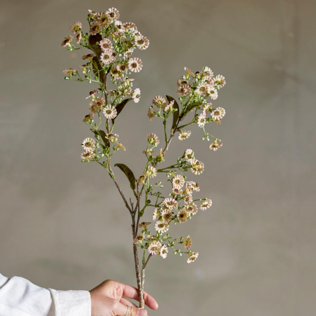 Waxflower Stem - Design Vintage