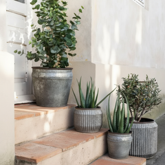 Set of Tapered Iron Planters