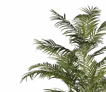 XL Faux Areca Palm - Design Vintage
