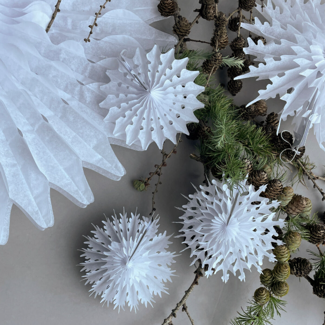 Set of 12 Snowflake Decorations