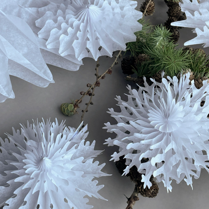 Set of 12 Snowflake Decorations