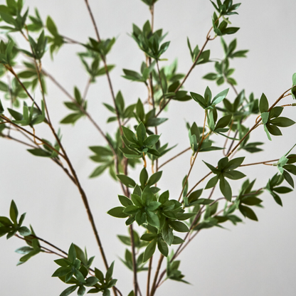 Green Japonica Branch