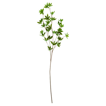 Green Japonica Branch