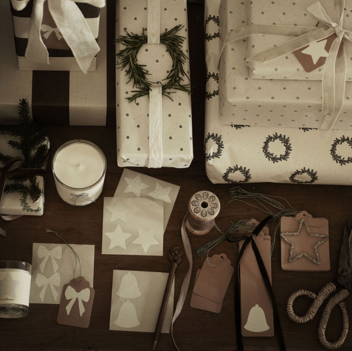 Mocha Cypress Gift Wrap