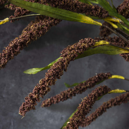 Rice Flower Stem