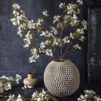 Cream Prunus Blossom