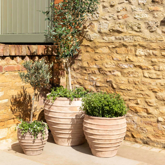Aged Terracotta Planters