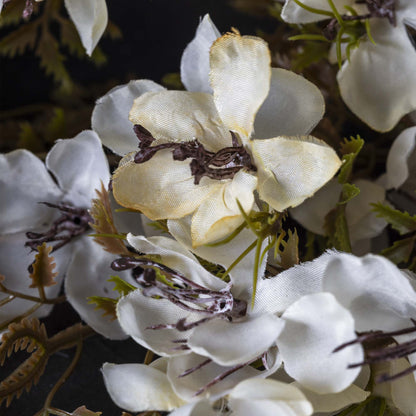 Cream Prunus Blossom