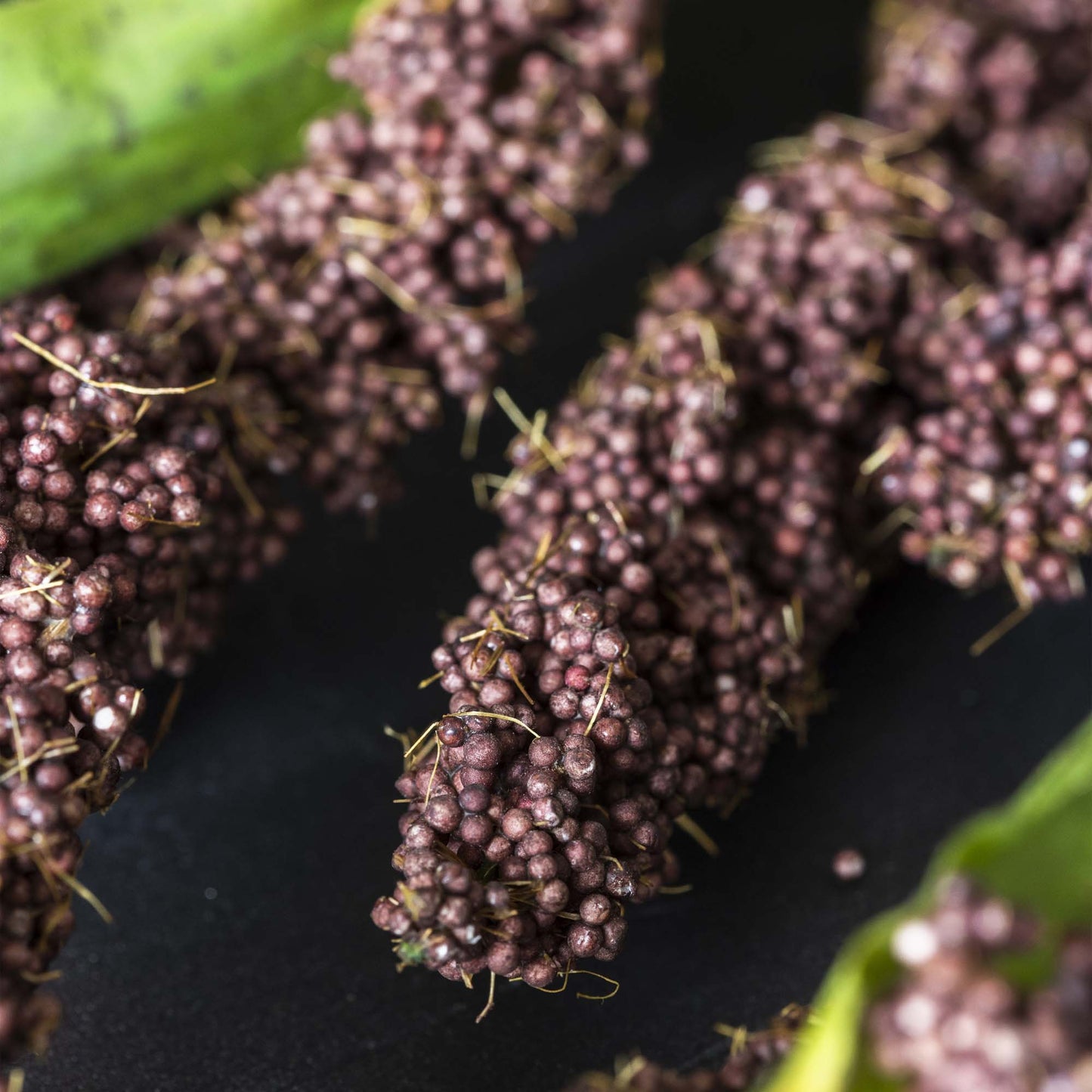 Rice Flower Stem
