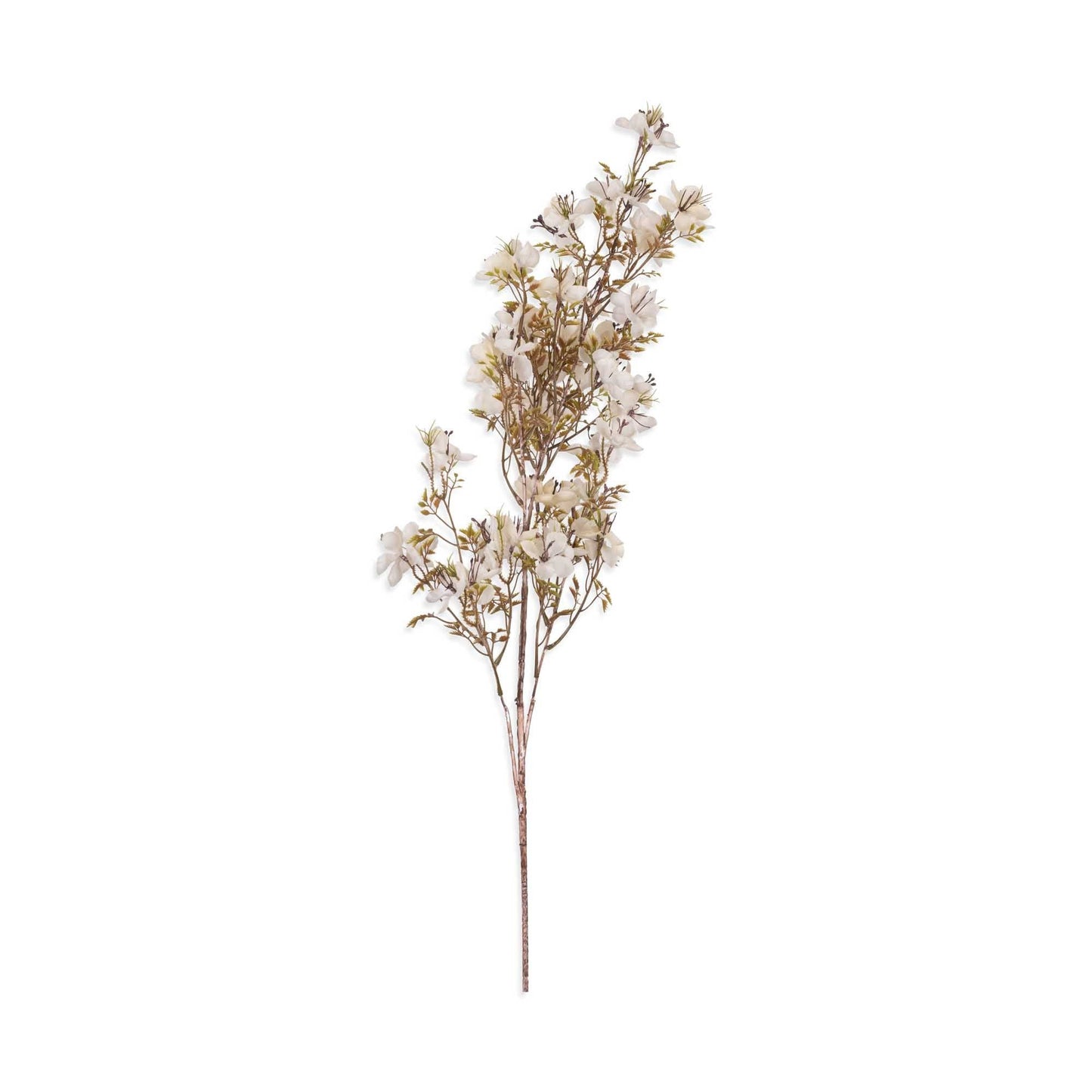 Cream Prunus Blossom
