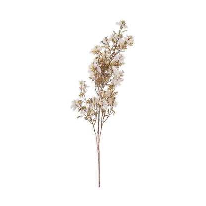 Cream Prunus Blossom