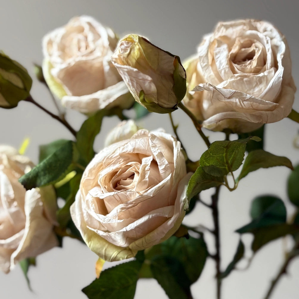 Vintage Nude Rose Spray